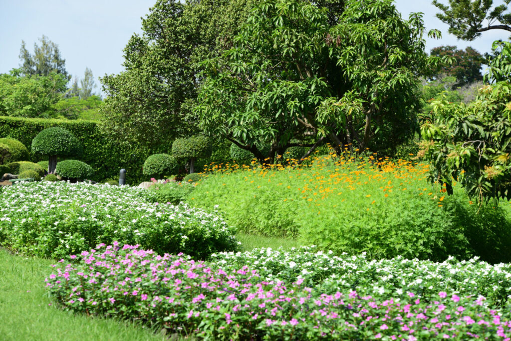 Garden Passion - Passie voor tuinaanleg en -onderhoud - administratief bediende