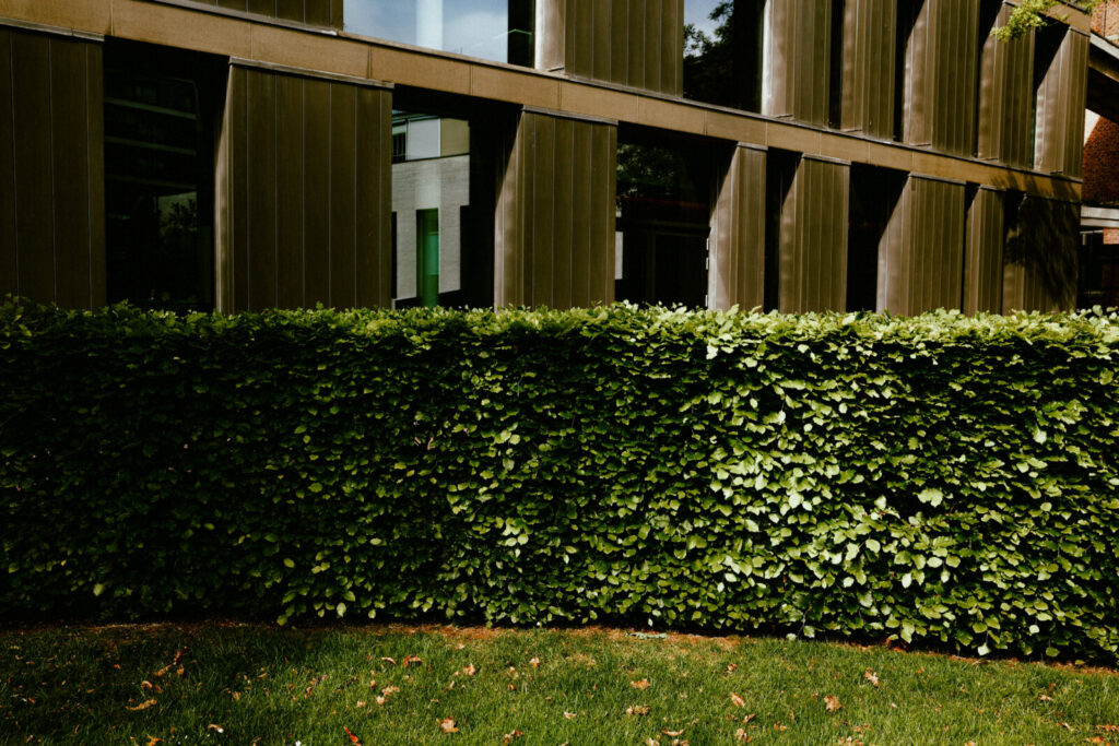 Bank Van Breda