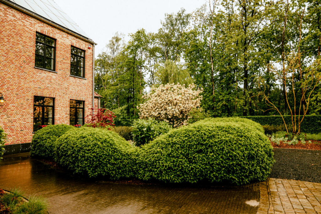 Project L. Brasschaat