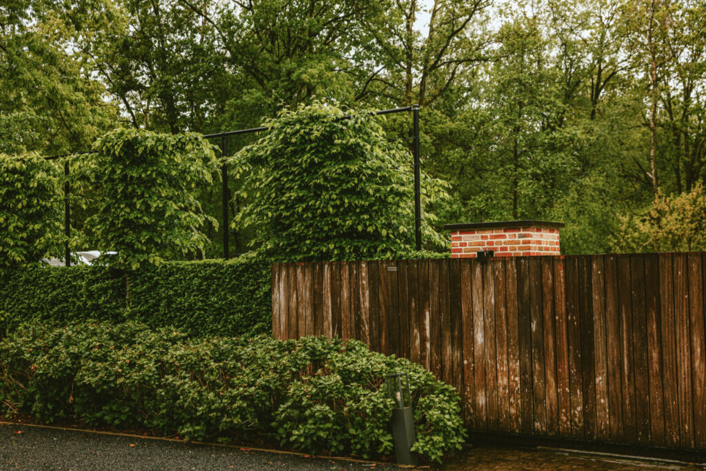 Project L. Brasschaat