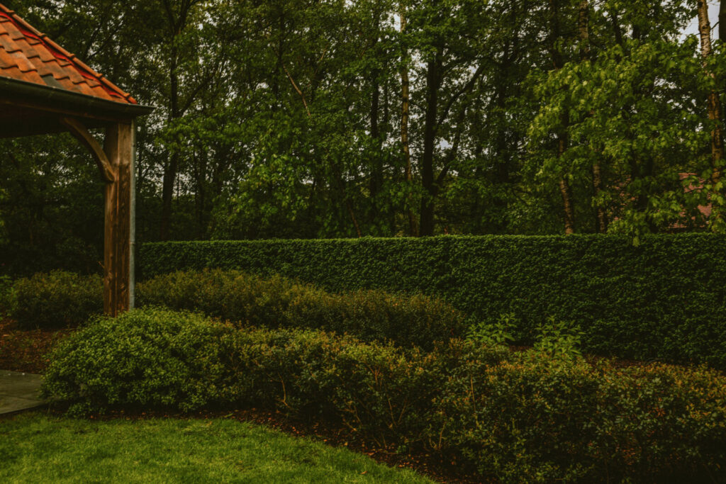 Project L. Brasschaat