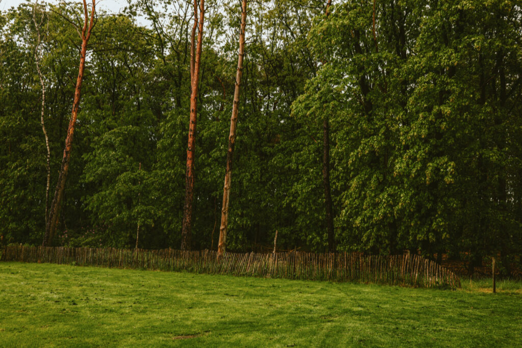 Project L. Brasschaat